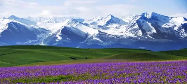 新疆风华，播音稿中的西域画卷